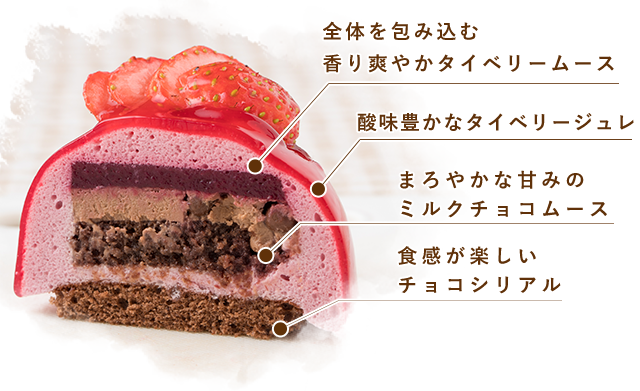 ケーキ断面